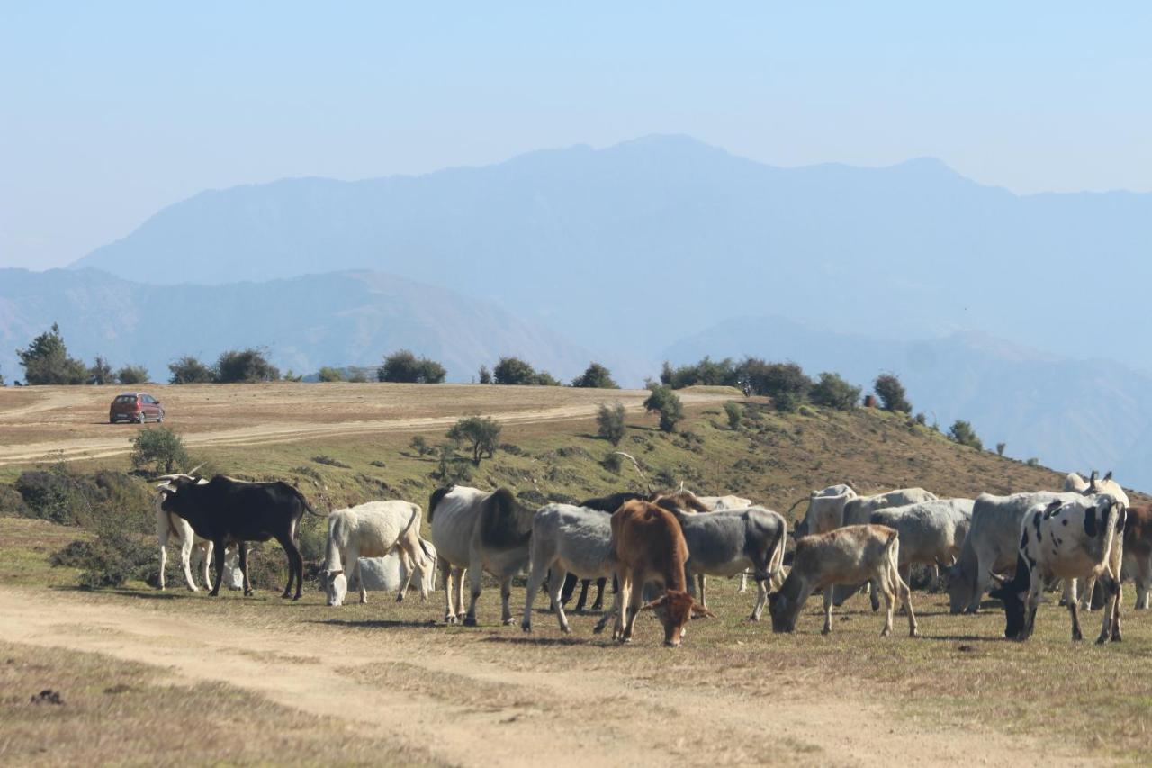 Veda Inn Chakrāta Dış mekan fotoğraf