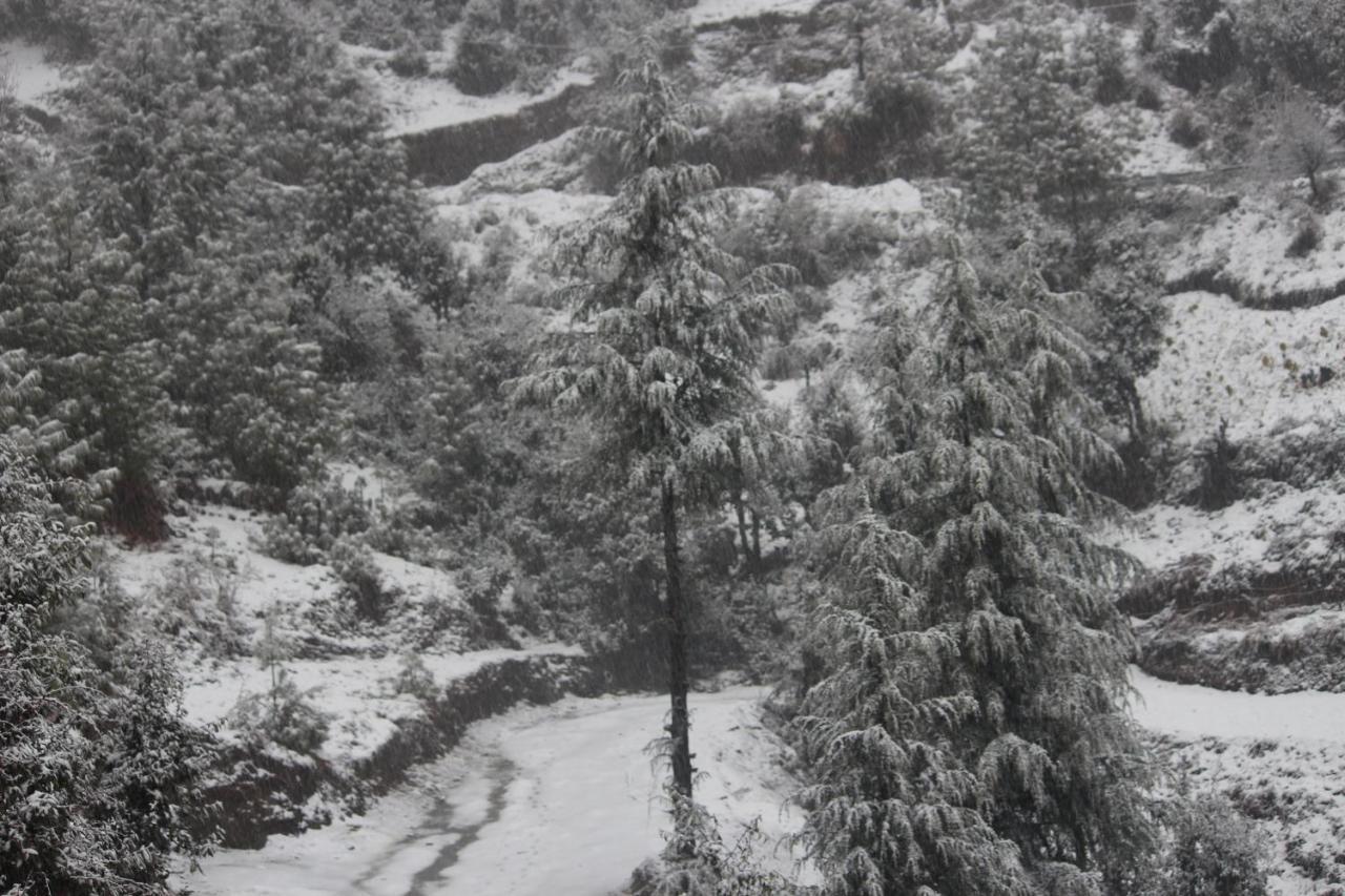 Veda Inn Chakrāta Dış mekan fotoğraf